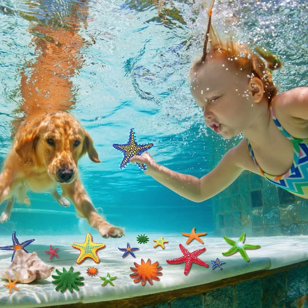 Diving Pool Toys Colorful Star - Aquatic Diving 리뷰 및 가격